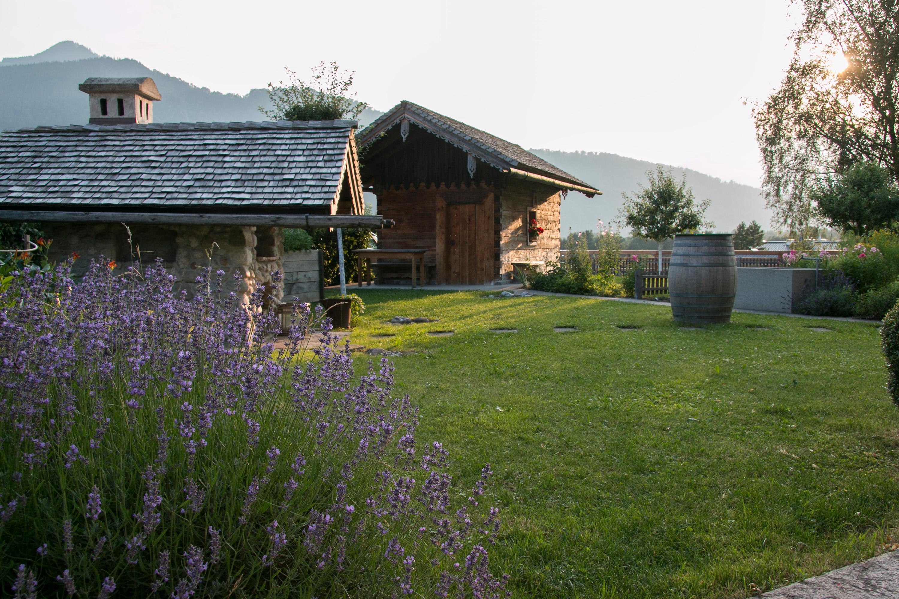 Garten Lavendel